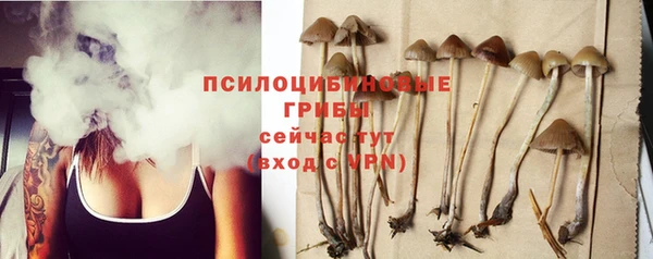 прущие грибы Алексеевка