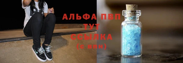прущие грибы Алексеевка