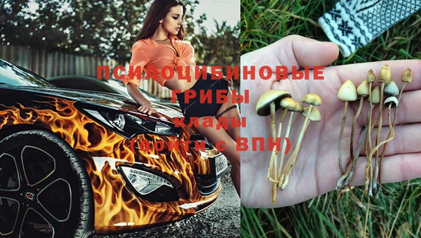 таблы Алзамай